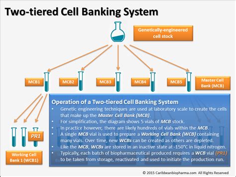 Bic (bank identifier code) und bankleitzahl (blz) von deutsche bank mit sitz in 29221 celle nachschlagen. The Product is the Process - The Master Cell Bank 2 ...
