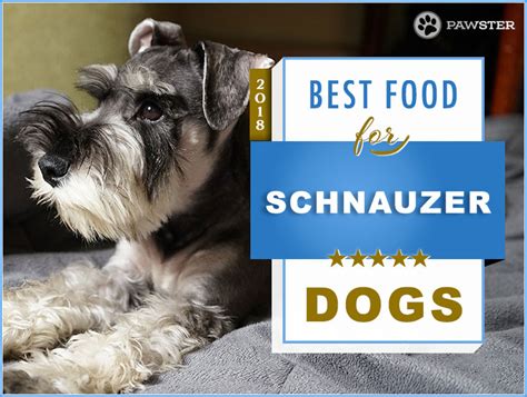 3.2 solid gold high protein dry dog food. Top 6 Recommended Best Foods for a Schnauzer