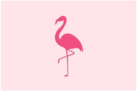 Beauty Flamingo Bird Logo Design Vector Afbeelding Door Sore88