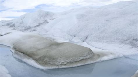 Microscopic Life Is Speeding Up Greenlands Ice Sheet Melt Cnn