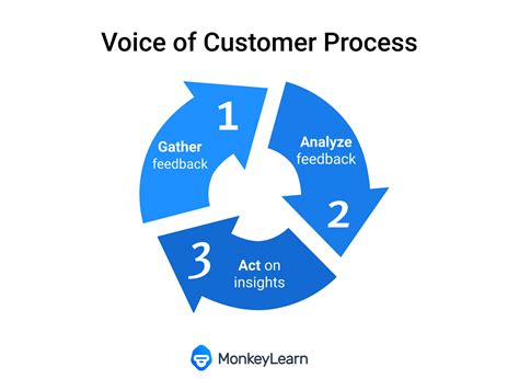Voice Of Customer Voc Examples For Your Business