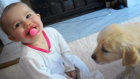 Adorable Baby Girl And Little Puppy Meet For The First