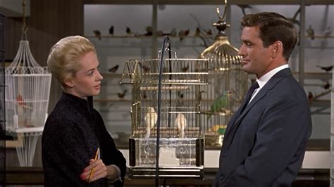 classic film review the birds 1963 — the story enthusiast