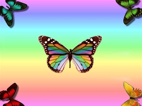 Background Wallpaper Rainbow Butterfly Aesthetic Maryandbendy