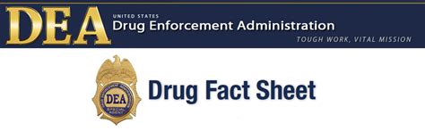 Chesbro On Security Dea Drug Fact Sheets