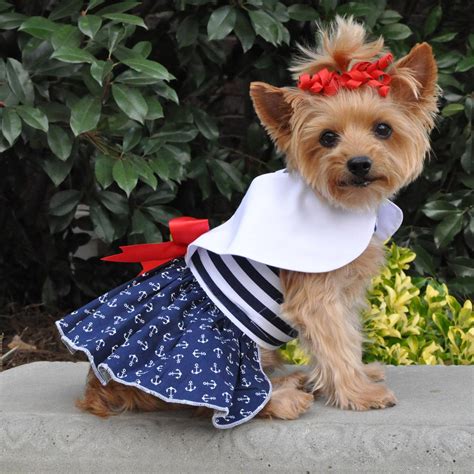 Unleash Your Pups Style With These Top 10 Dress Dog Must Haves A