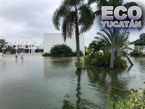 Especialistas Hablan Del Manto FreÁtico Eco Yucatán