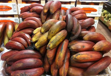 Red Bananas Health Benefits And Nutrition Facts Care4women