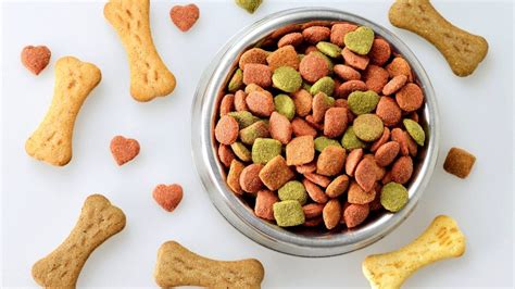 Hypoallergenic Dog Food The Best Options For Every Budget