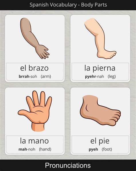 How To Say Arm Leg Hand And Foot In Spanish Video Spanish Language Learning Spanish