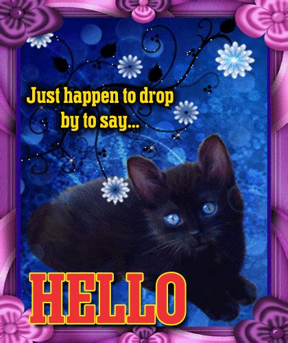 Cat Drops By To Say Hello Free Hi Hello Ecards Greeting Cards 123