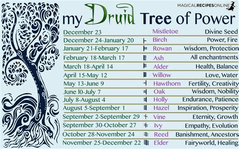 Druids Magical Trees Of The Year Celtic Astrology Celtic Astrology