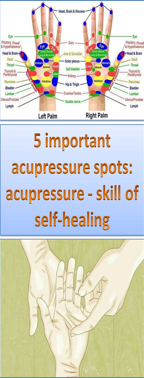 5 Important Acupressure Spots Acupressure Skill Of Self Healing