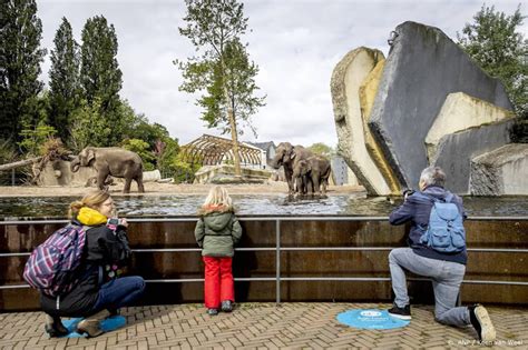 Run Op Kaartjes Dierentuinen Voor Proefopening Nieuwsnl