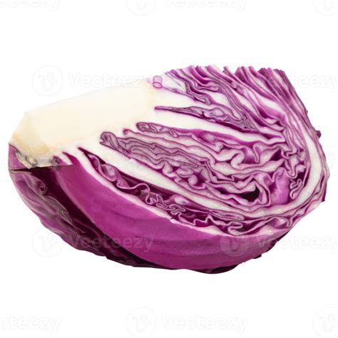 Free Red Cabbage Cutout Png File 8530515 Png With Transparent Background