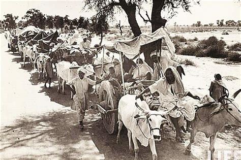 भारत विभाजन की त्रासदी Tragedy Of Partition Of India
