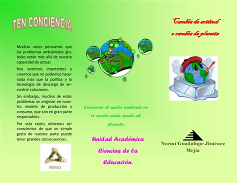 Atrás quedaron los días en los que eran tenemos más de 1700 variedades con características diferentes para escoger. Triptico