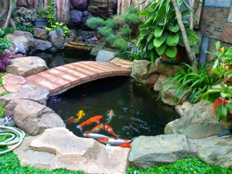 Pembuatan kolam ikan koi dengan bahan besi holo & beralaskan steropom untuk sekeliling kolam terpal agar suhu air tetap. Tips Cara Membuat Kolam Koi Bersih dan Sehat - Dunia Akuarium