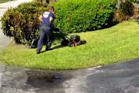 Florida Firefighters Mow Lawn Of 83 Year Old Army Veteran