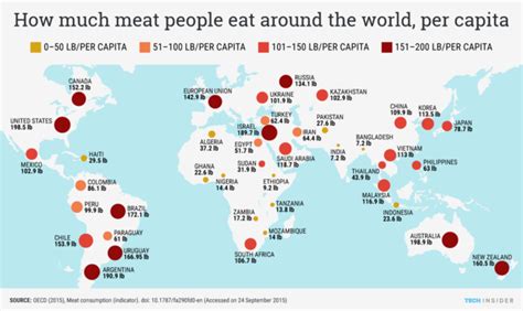 Living Longer The Effect Vegetarianism Really Has On Our Lifespans