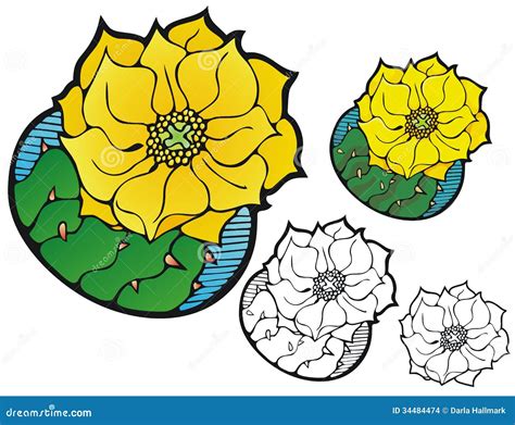 Prickly Pear Cactus Flower Stock Vector Illustration Of Yellow 34484474