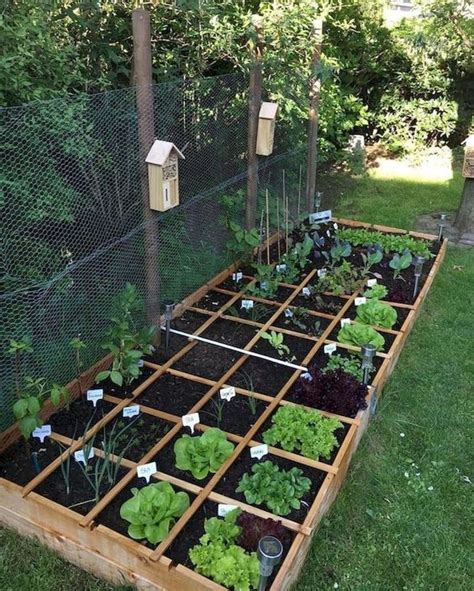 Raised Bed Garden Layout Ideas Blog About Gardening