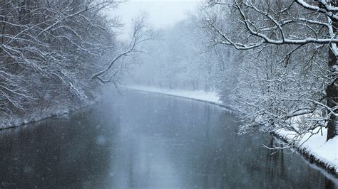 1920x1080 Cold Snow Winter Trees River Forest Coolwallpapersme