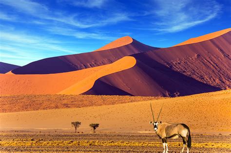 Namibia Donde El Desierto Encuentra El Mar Atlantida Travel