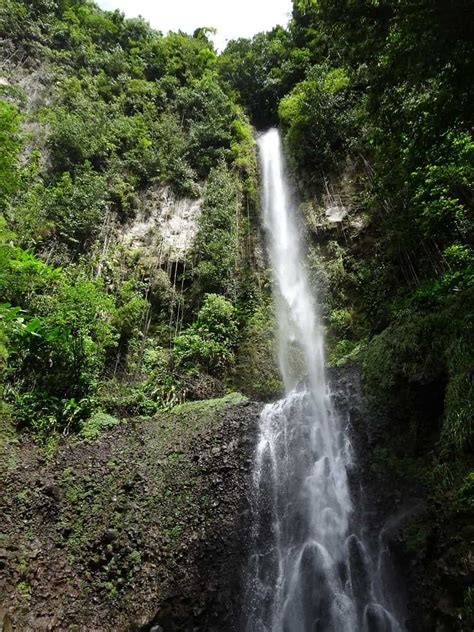 the 5 most beautiful waterfalls in dominica including trafalgar falls and other must see