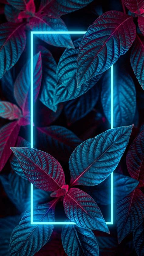 Neon Plants Wallpapers Top Free Neon Plants Backgrounds Wallpaperaccess