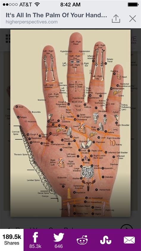 Palm Reflexology Foot Chart Healing Touch Energy Healing Hand Pressure Points Hand Health