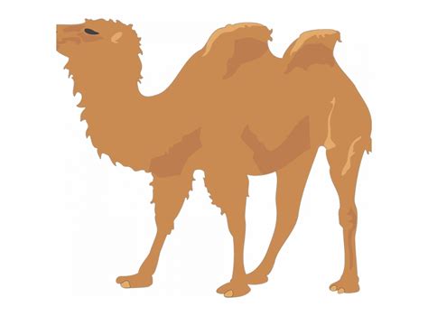 Pagesotherjust for funhump day camel. Hump Day Camel Png & Free Hump Day Camel.png Transparent ...