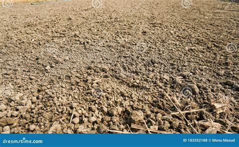 Soil Texture Sand Silt Clay Composition Fertile Loam Soil Suitable