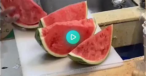 Fast Watermelon Cutting Album On Imgur