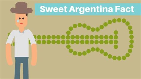 63 Interesting Facts About Argentina Argentina Facts Facts South America