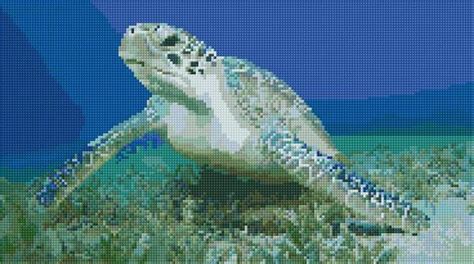 Sea Turtle Cross Stitch Designs