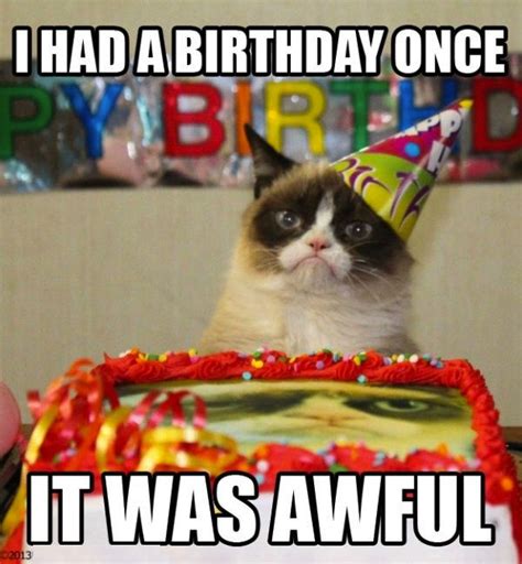 Grumpy Cat Birthday For The Best Jokes And Memes Visit