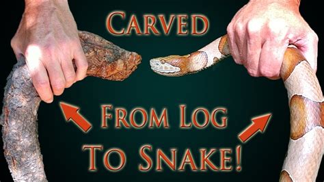 Finding Wood For Carving A Snake Walking Cane Youtube
