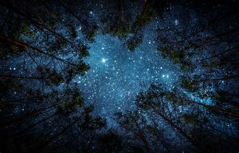 Photos Beautiful Night Sky The Milky Way And The Trees