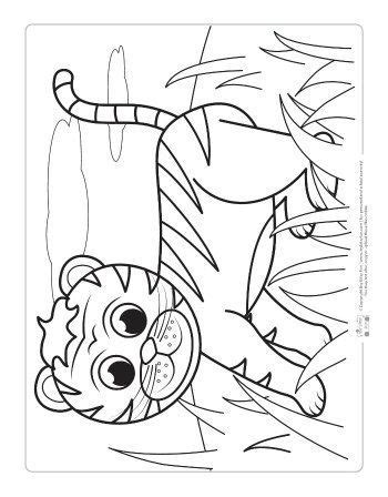 878x651 jungle animals coloring page coloring pages sea animals cartoon. Safari and Jungle Animals Coloring Pages for Kids | Animal ...