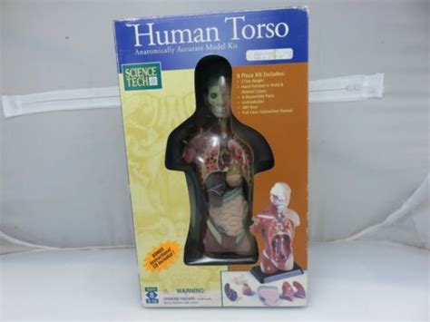 Science Tech Human Torso Anatomically Accurate Model Kit Wcd