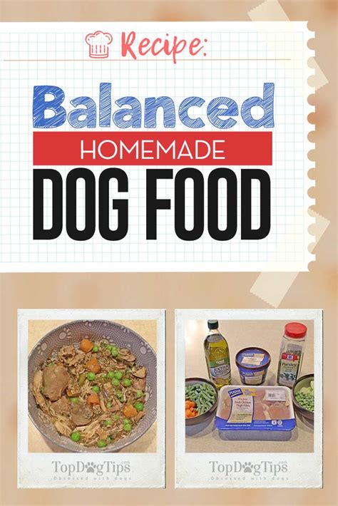 Your dog will love these easy vet approved homemade dog food recipes. Balanced Homemade Dog Food Recipe [Video Instructions ...