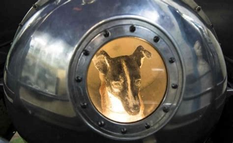 Cuál fue el primer perro en el espacio