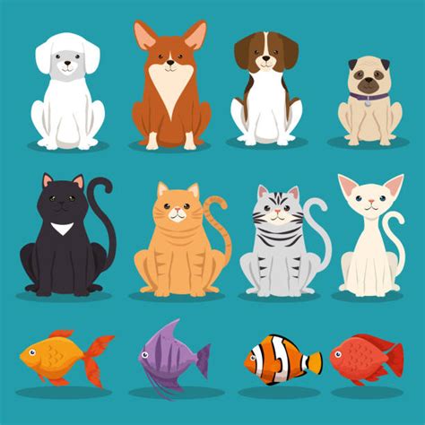 Best Domestic Animals Illustrations Royalty Free Vector Graphics