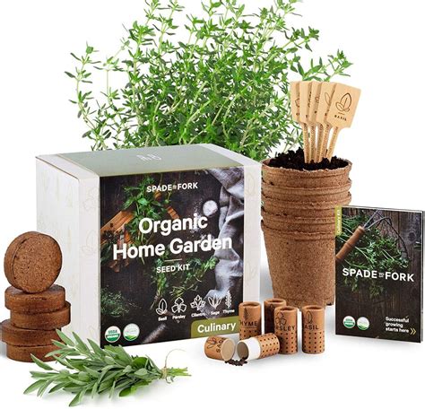 14 Easy Indoor Herb Garden Kits Plus Expert Tips For Growing Success
