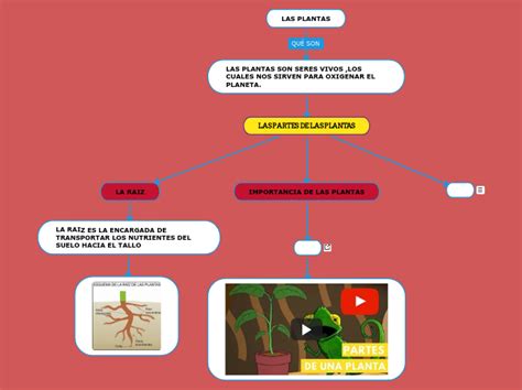 Las Plantas Mind Map