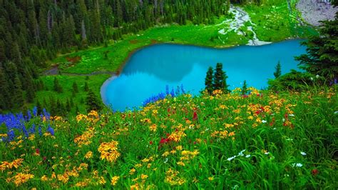 Landscape With Mountain Lake And Flowers Wallpapers Wallpaper Cave