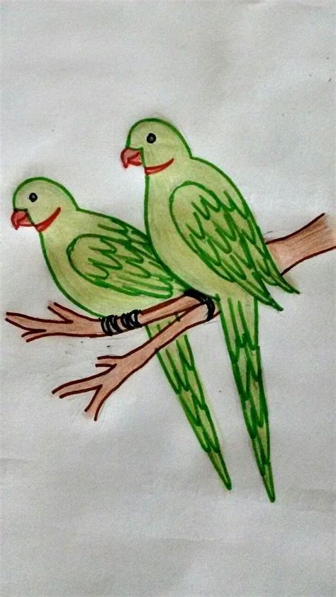 Luiz Martins Download 26 Pencil Sketch Two Parrot Drawing With Colour