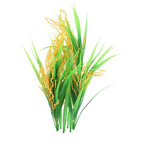 Rice Png Transparent Images Png All