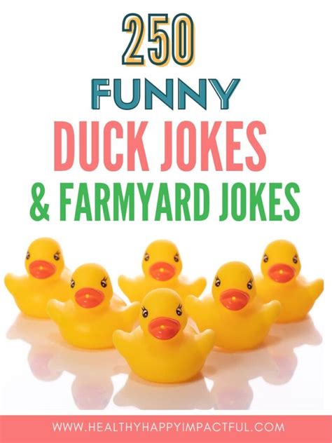 250 Funny Duck Jokes And Farmyard Jokes To Keep You Laughing